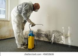 Biohazard Mold Removal in Silsbee, TX